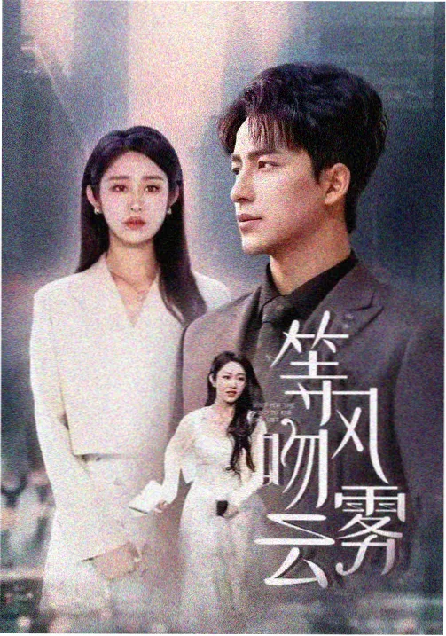 秘密森林 第三季 高分悬疑韩剧